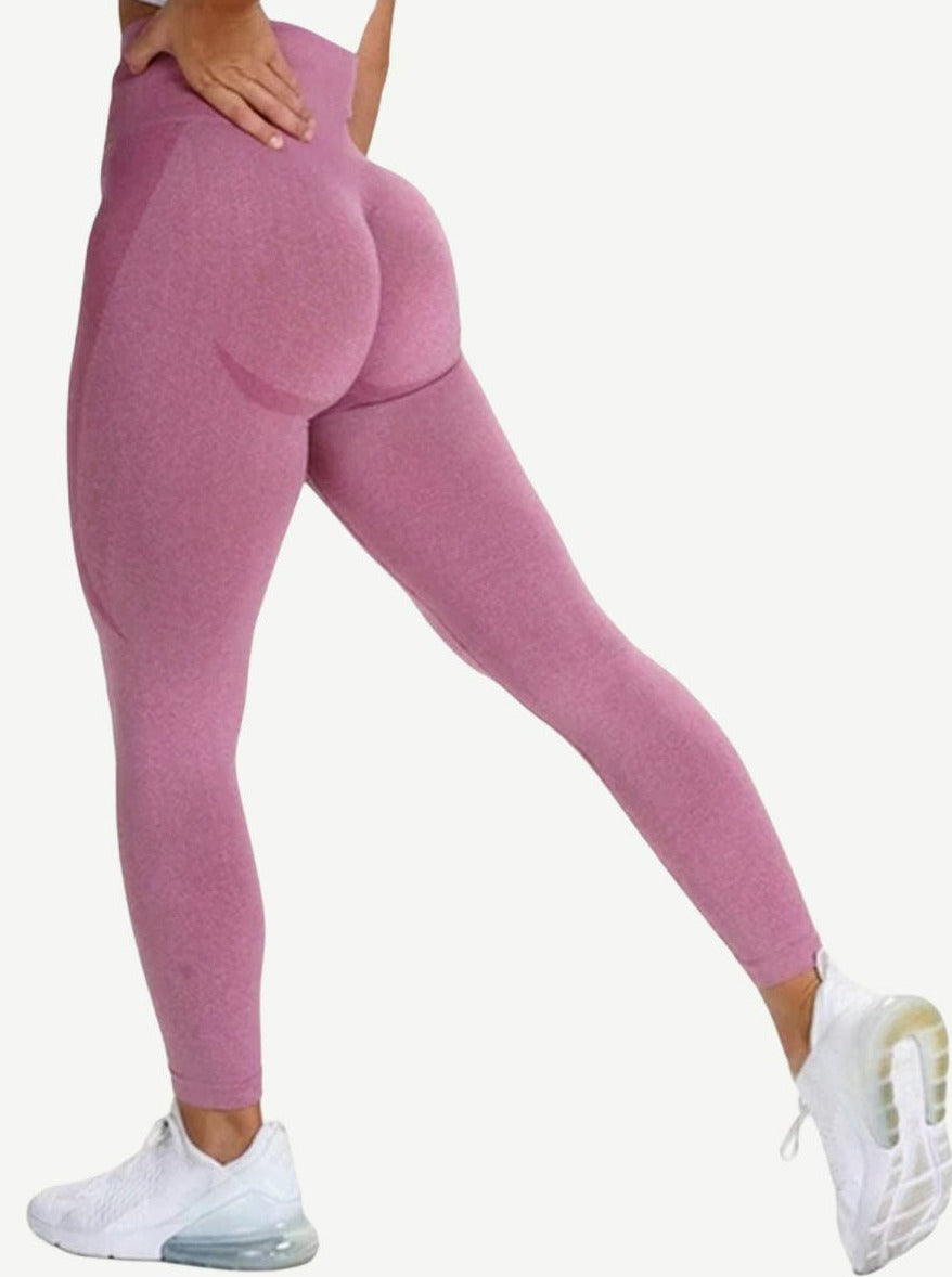 Beautifully Designed Yoga Legging Knit Seamless High Rise